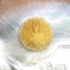 Tiffany & Co. 18k Yellow Gold Sea Urchin Pin, circa 1960s