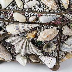 Fine Coquillage Shell-Work Coffret, circa 1840