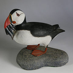 102-4942 Puffin A_MG_9364