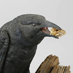 Pete Micciche “Fish Crow” Polychrome Carved Wood Model of a Crow