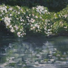 Linda Levy Oil on Canvas “Reflections”