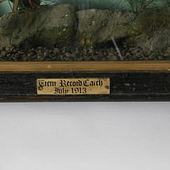 Trophy Fish Diorama “Caught by Mr. F. Edgell, Beeston, Notts. Barbel 7 lbs. 10 oz. July, 1913”