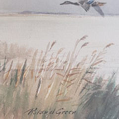 Roland Green Watercolor on Paper, “Four Mallard Over The Broads”