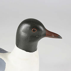 American Black-headed Gull Decoy, Contemporary