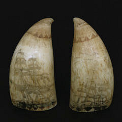 Pair of Polychrome Scrimshaw Antique Sperm Whale Teeth, circa 1846