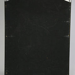 Specimen Shell Shadowbox