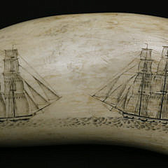 Fine Britannia Engraver Large Scrimshaw Sperm Whale Tooth, first half of the 19th Century