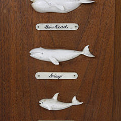 Paul C. Morris Bone 8 Whale Species Plaque, circa 1974