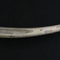 Antique Eskimo Scrimshaw and Polychrome Walrus Tusk Cribbage Board