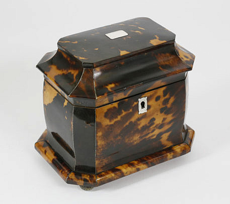 459-3771 Regency Tortoise Tea Caddy A_MG_9975