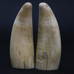 Pair of Antique Scrimshaw Whale Teeth, 2nd half of the 19th Century