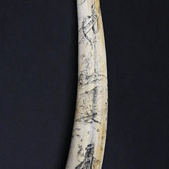 Antique Pictorial Scrimshaw Walrus Tusk, circa 1860