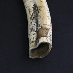 Antique Pictorial Scrimshaw Walrus Tusk, circa 1860