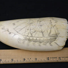 Large Sperm Whale Tooth, last quarter of the 19th Century