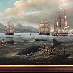 Brian Coole Oil on Board “A Shoal of Sperm Whale, 1833”