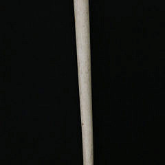 Carved Tropical Bird Grip Walking Stick, circa 1870