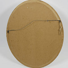 Oval Frame Shadowbox of Specimen Eggs