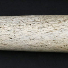 1-4986 Whalebone Fid A_MG_0885