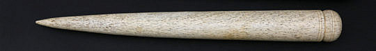 1-4986 Whalebone Fid A_MG_0885