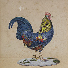 1591-54 Gouache and Ink Picture of a Bantam Cock A_MG_2250 2