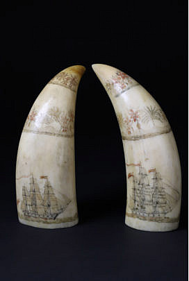 17-3582 Pair of American Scrimshaw Whale Teeth A_2817