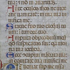 20-4958 Vellum Psalm A_MG_4349