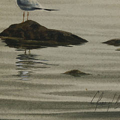 Robert Perrin Watercolor on Paper  “Slack Tide at Brant Point with Seagull”