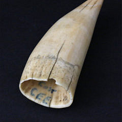 Two-Sided Scrimshaw Antique Sperm Whale Tooth, circa 1850