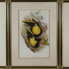 89-4208 Three Lithos Toucans A_MG_4566