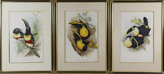 89-4208 Three Lithos Toucans A_MG_4566