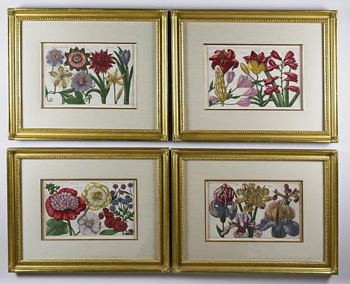 79-4208 Set of Four Botanical Engravings A_MG_2600