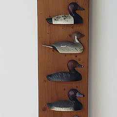 112-4962 Duck Species Plaque A