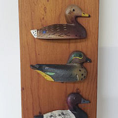 Hand Carved and Painted Waterfowl Duck Species Plaque