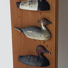 Hand Carved and Painted Waterfowl Duck Species Plaque