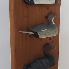 Hand Carved and Painted Waterfowl Duck Species Plaque