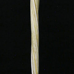 Antique Narwhale Tusk Walking Stick, circa 1850