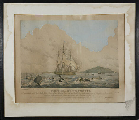 86-5035 Huggins Lithograph South sea Whale Fishery A_MG_7771