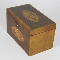 British Regency Double Compartment Conch Shell Inlaid Tea Caddy, 19th Century