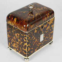 British Regency Dome Top Tortoiseshell Tea Caddy, 19th Century