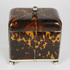 British Regency Dome Top Tortoiseshell Tea Caddy, 19th Century