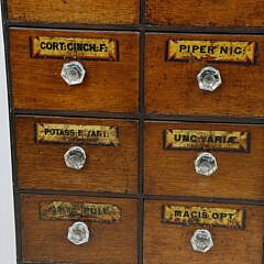 Twelve Drawer Apothecary Cabinet, 19th Century