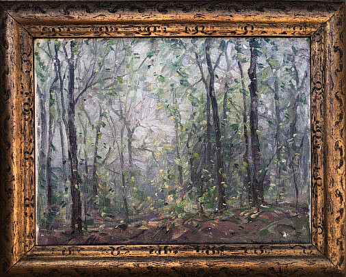 1-5068 Frank Swift Chase Hidden Forest A IMG_8933