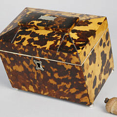 English Regency Double Compartment Tortoiseshell Tea Caddy, circa 1810