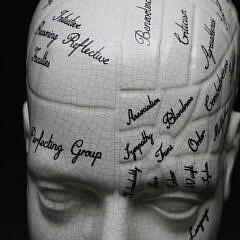 Contemporary Ceramic Phrenology Head