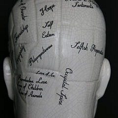 Contemporary Ceramic Phrenology Head