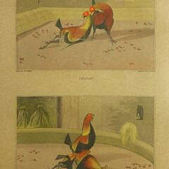 Pair of Henry Thomas Alken Cock Fighting Prints