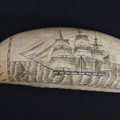 Large Scrimshaw Sperm Whale Tooth, 19th Century