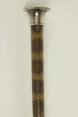 11-5104 Silver Snakeskin Walking Stick A_IMG_8929