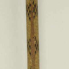 Lady’s Silver Capped Walking Stick, 19th Century