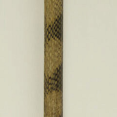 Lady’s Silver Capped Walking Stick, 19th Century